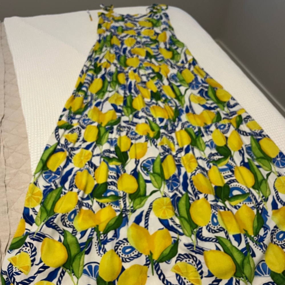 Kenny Flowers Lemon Print Dress with Blue and Green Accents